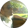 Toni Bernal profile picture