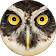 Miguel Cano profile picture