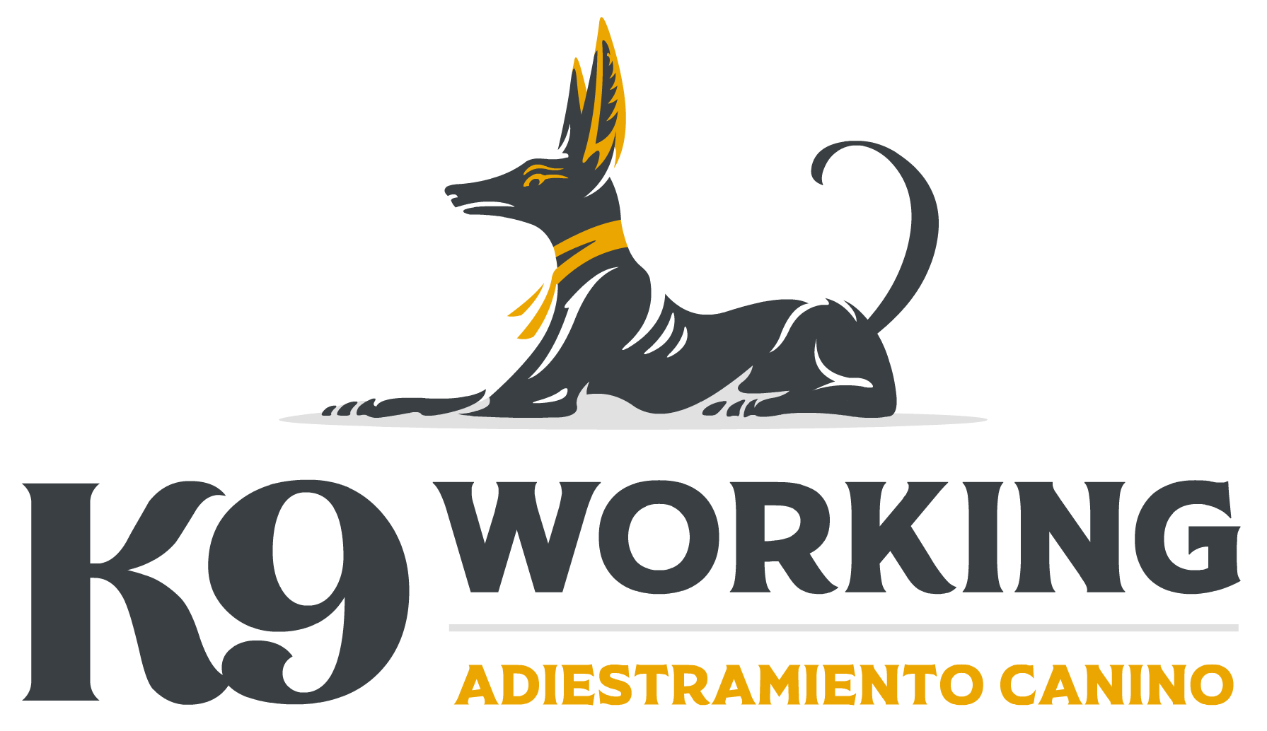 K9 Working Adiestramiento canino